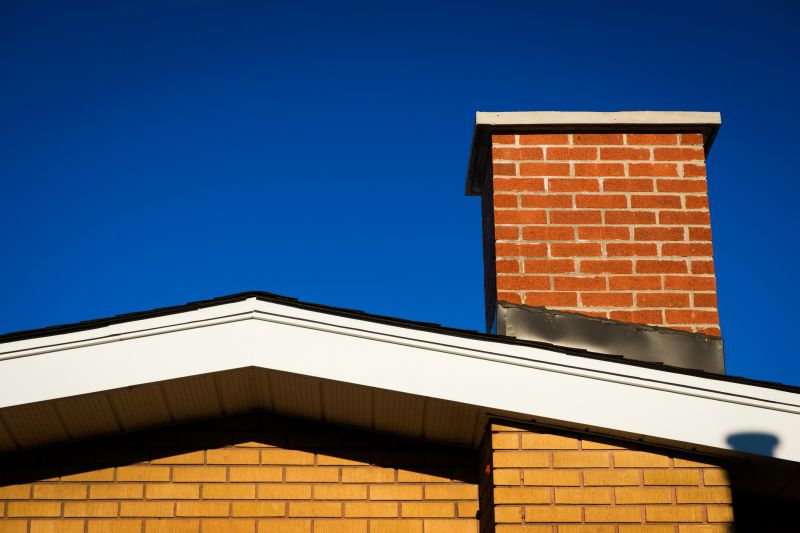 Chimney Assessment in San Francisco, CA